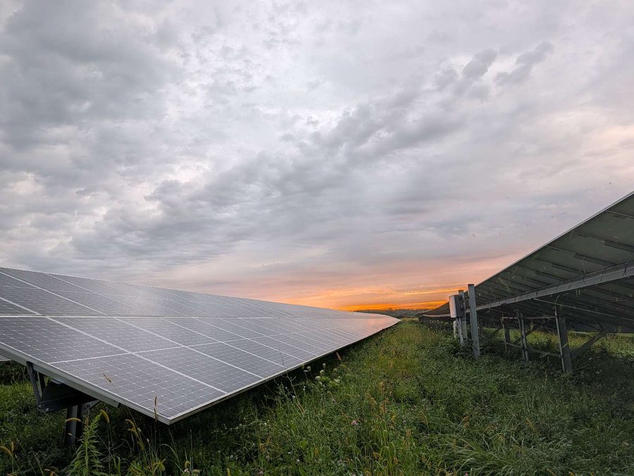 Solar array rows at daybreak