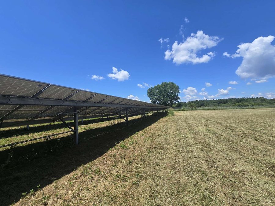 Wide, freshly mowed field beside a solar array row under a blue sky