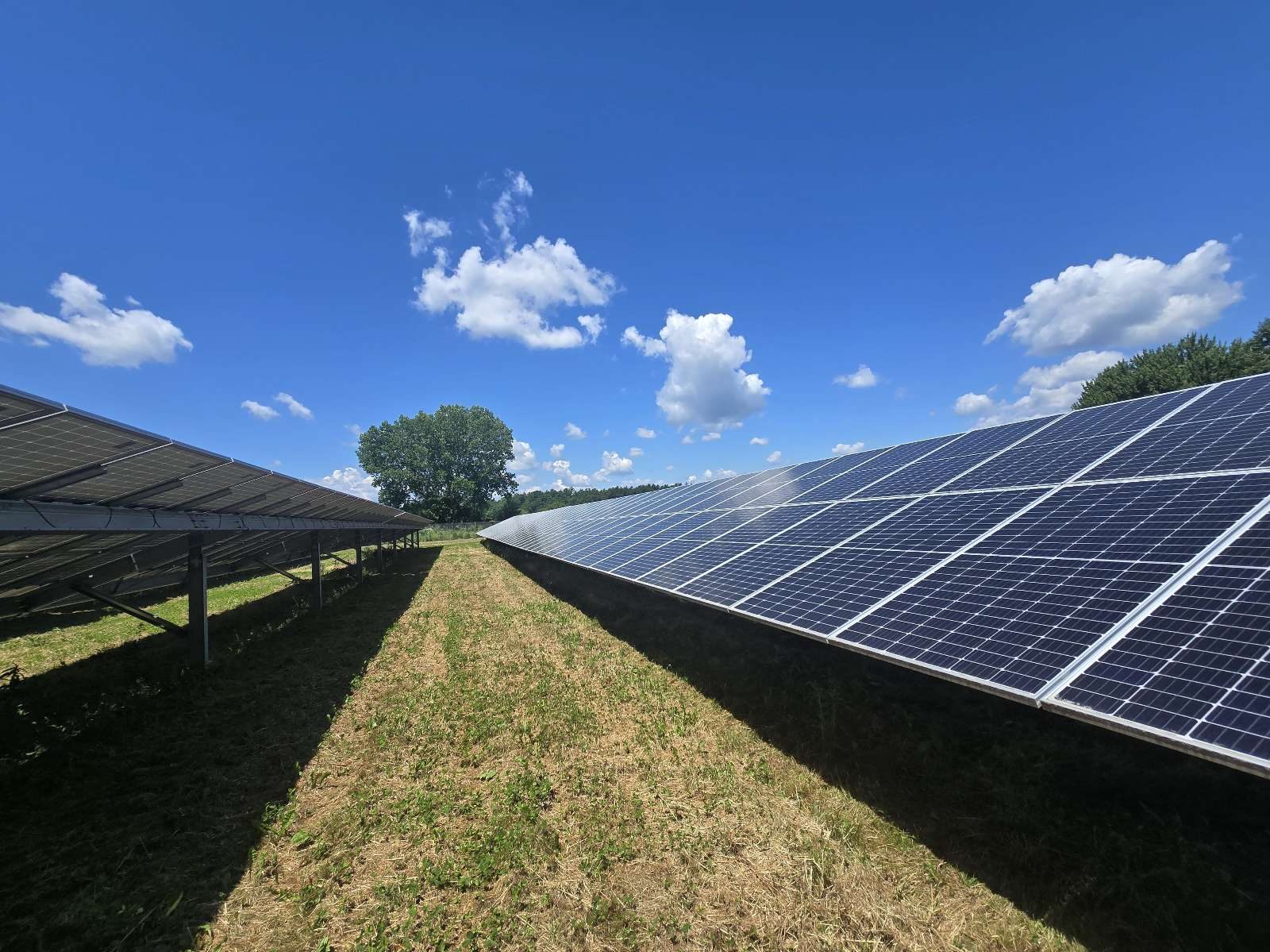 Rows of solar panels on a ground-mount array