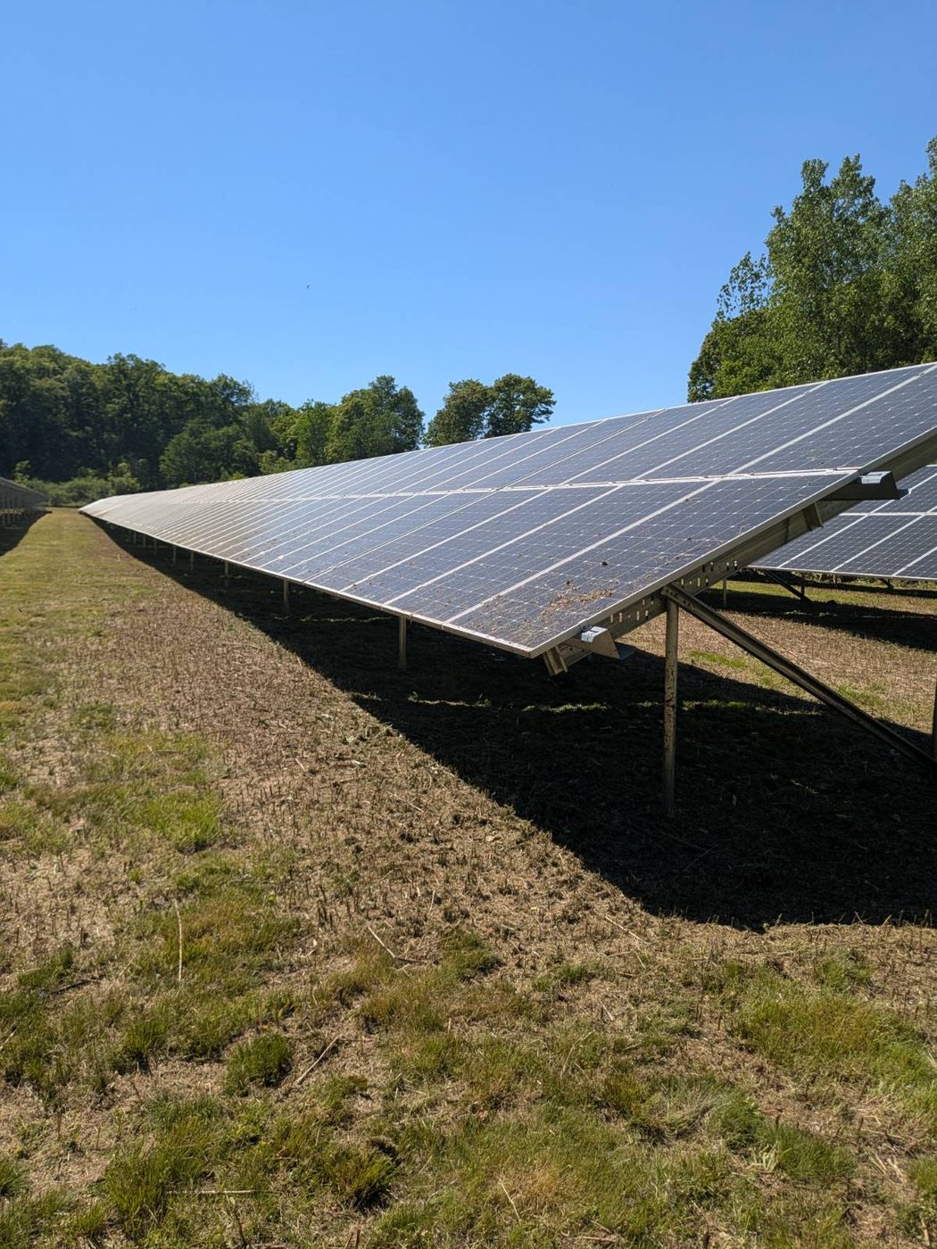 Freshly mowed aisle between rows of solar panels on a clear day